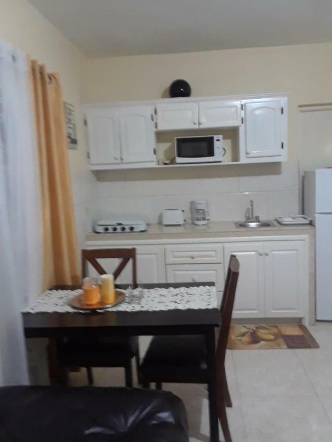 Barrianna Villa مونتيغو باي المظهر الخارجي الصورة